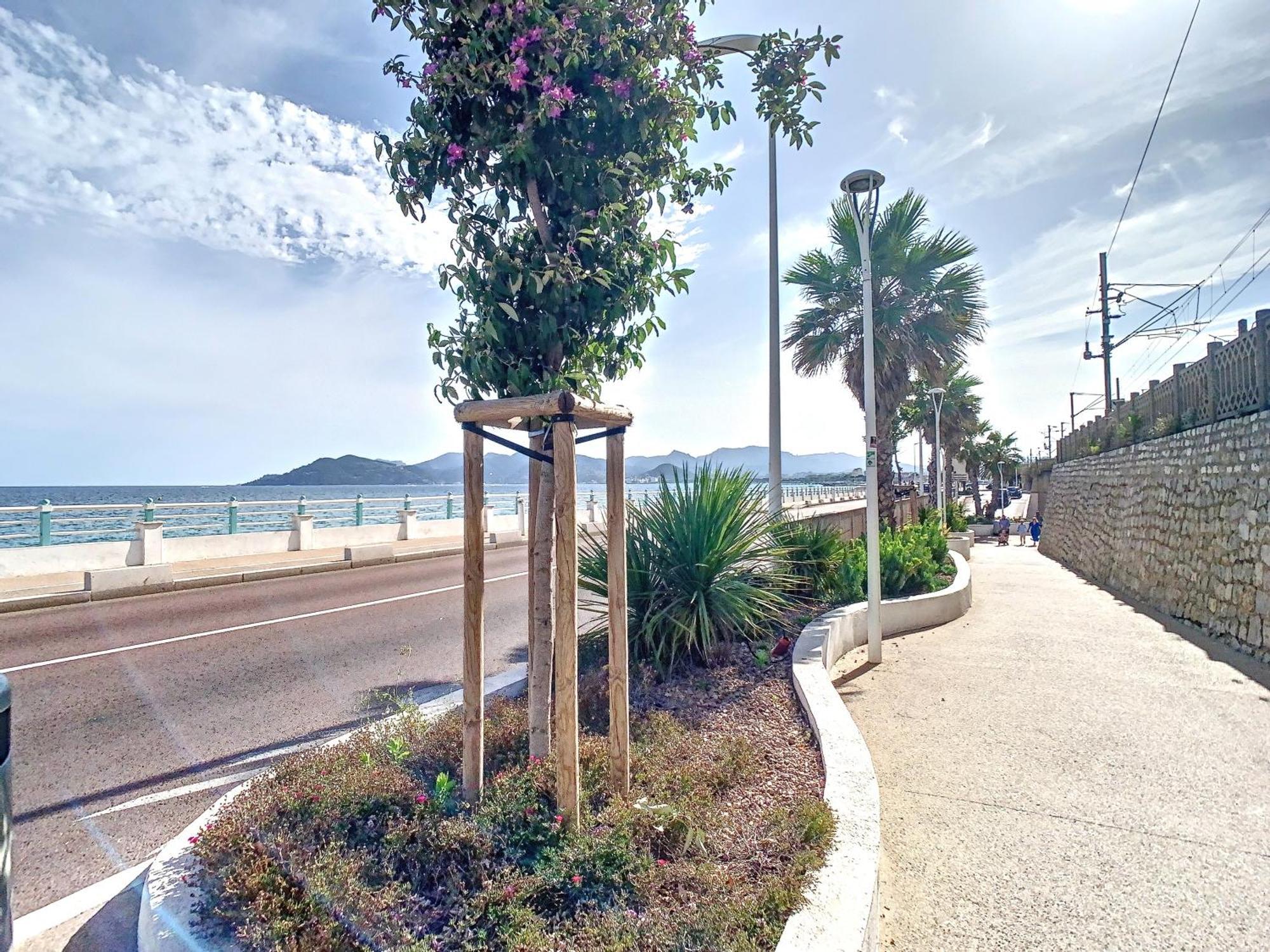 Appartement 3 Chambres A Proximite Des Plages Cannes Luaran gambar